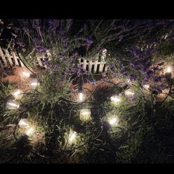 48 Feet Solar String Light