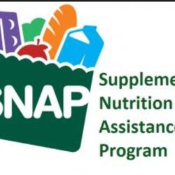 Stamp Lady Food Delivery 