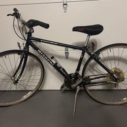 Bianchi Boardwalk Hybrid Bike