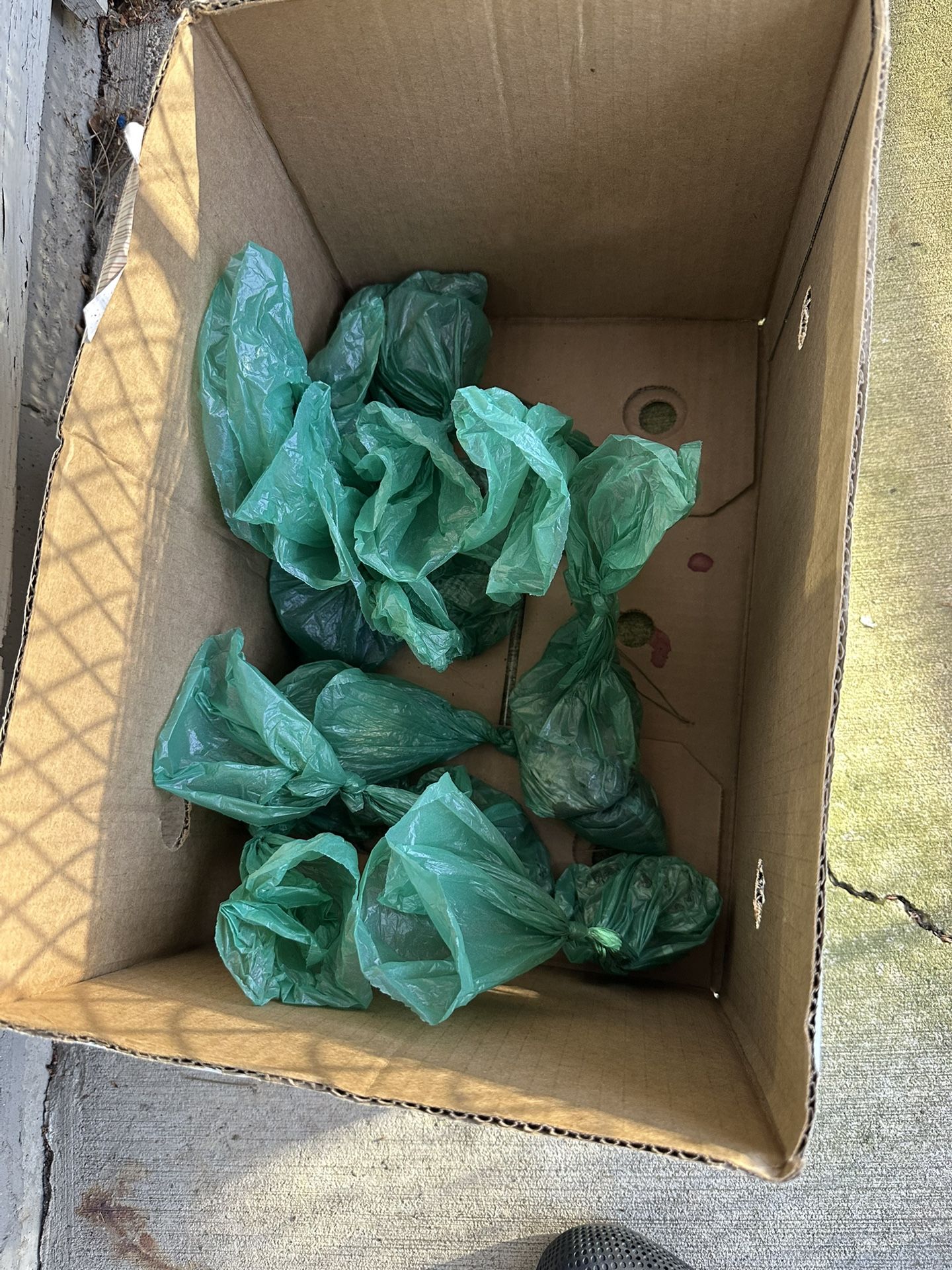 I.C.E Poop Bags