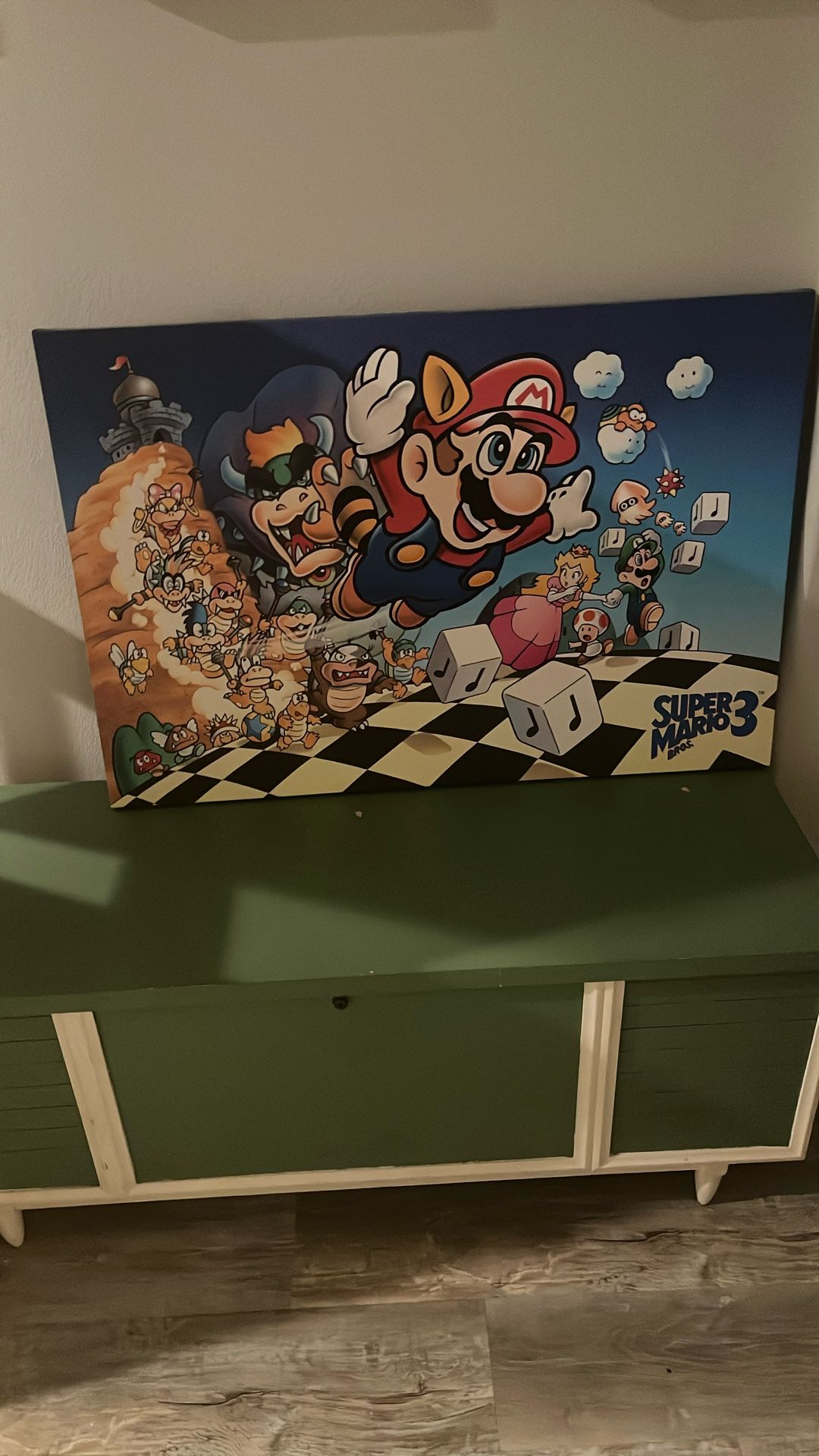 Mario Picture