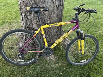 Gary Fisher Leinenkugel’s bike
