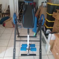 Inversion Chair Gor Back