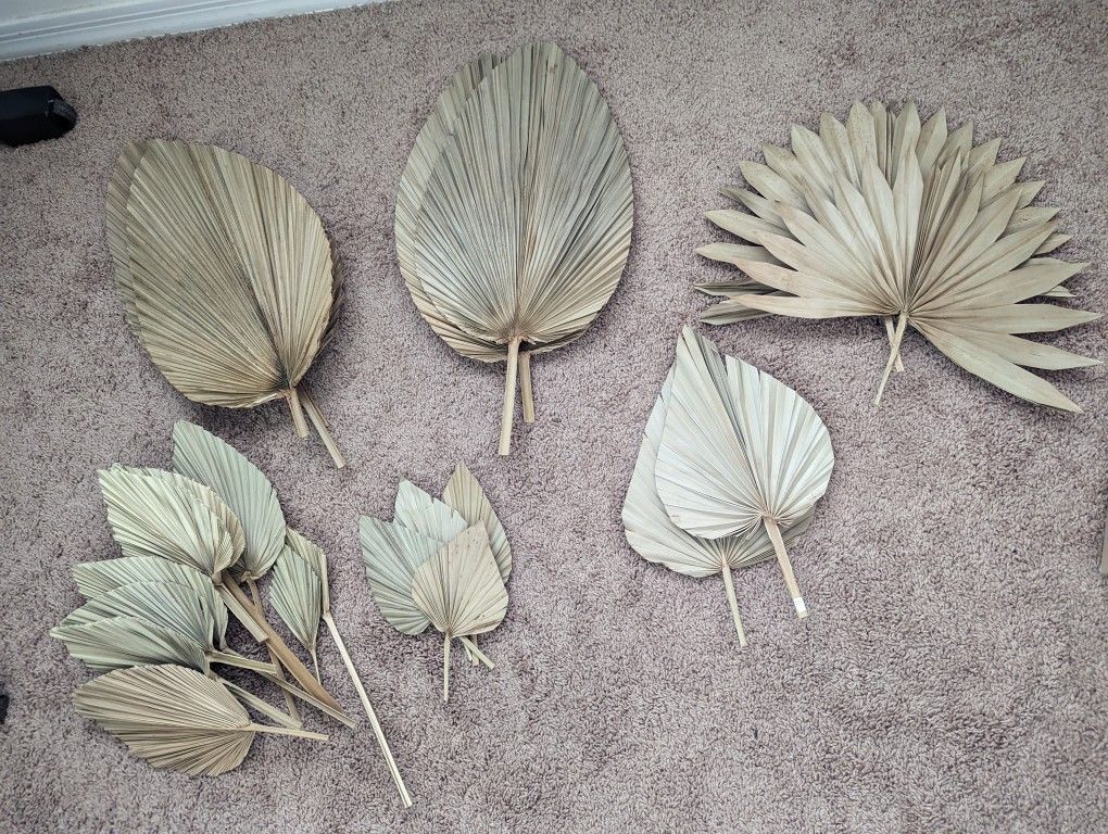 Ace Of Spades Palm Leafs