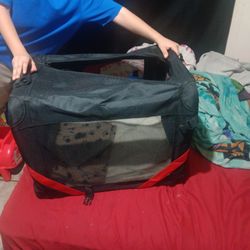 Dog Carrier 