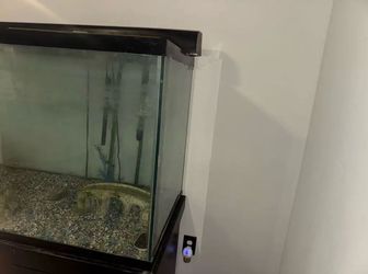 Glass Fish Tank