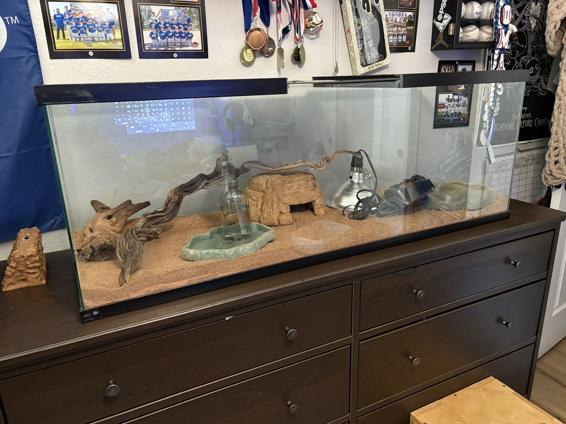 Large Reptile Tank