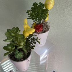 Artificial Succulent Arrangement 
