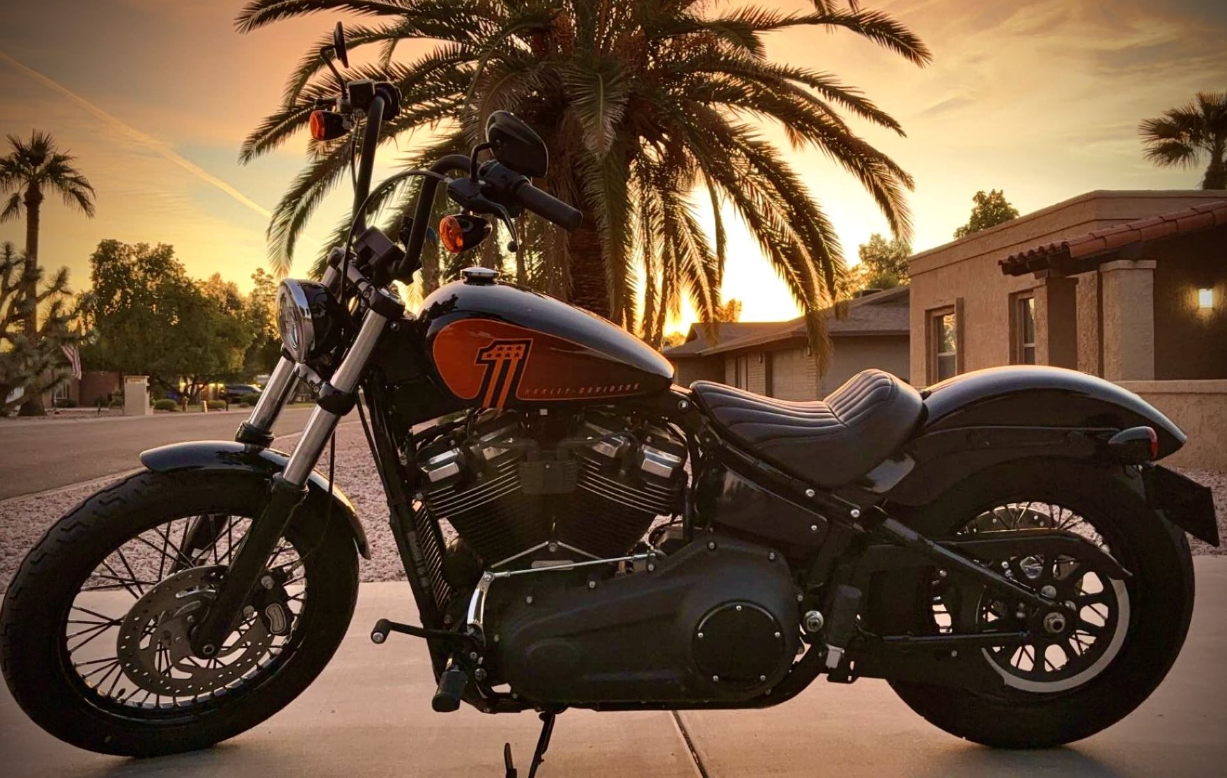 2019 Harley Davidson Softail Street Bob FXBB