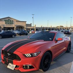 2016 Mustang Ecoboost 