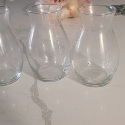 Glass Vases