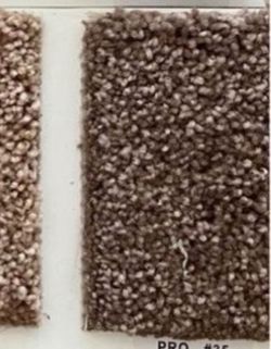 Pro 35 Carpet Sample