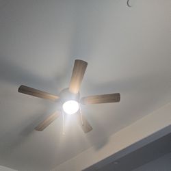 Lighting, Outlets, Switches, Ceiling Fans 