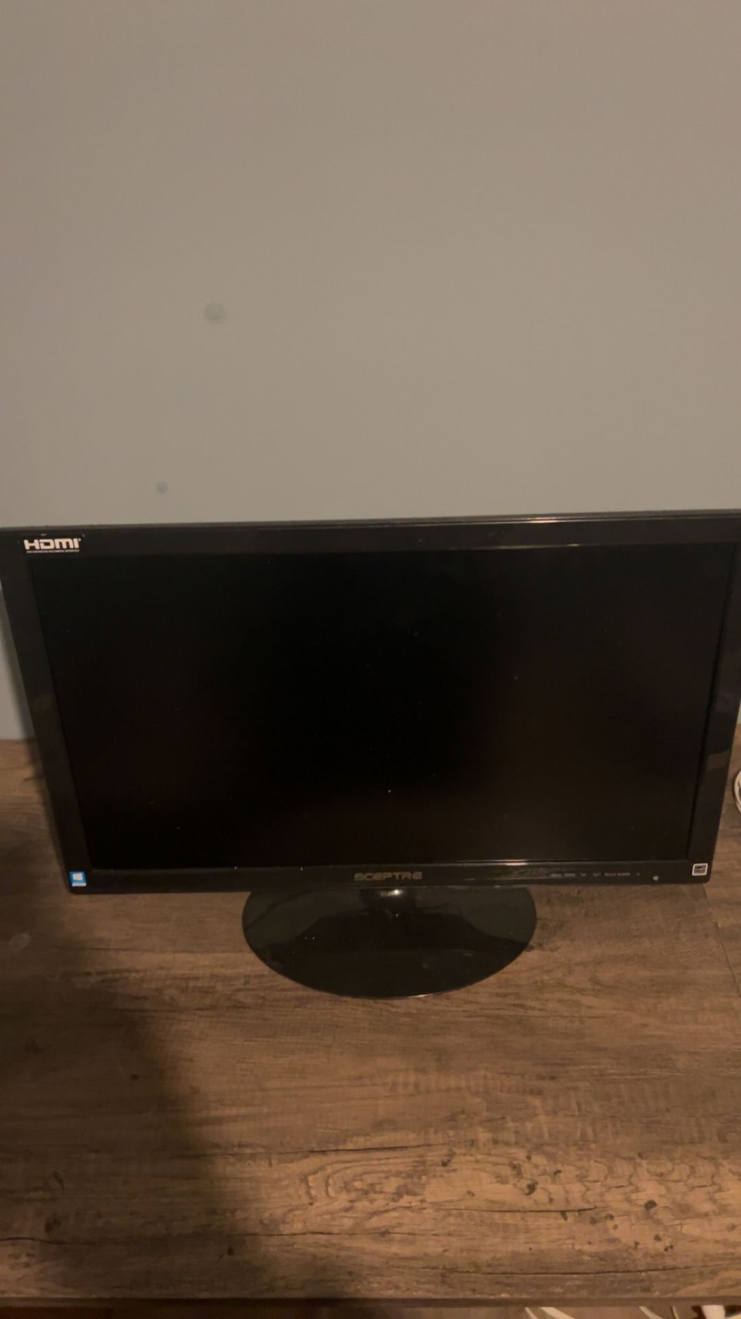 24in Sceptre Monitor
