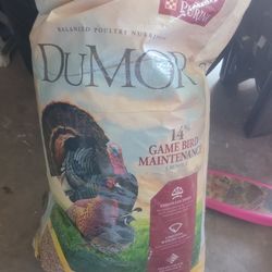 Turkey Feed