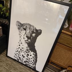 Black And White Cheetah Portrait Art Original 