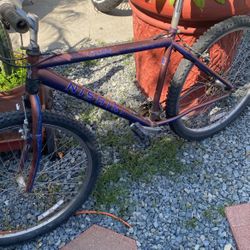 Nishiki Manitoba Mountain Bike