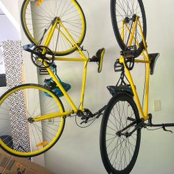 City Cruiser Bikes
