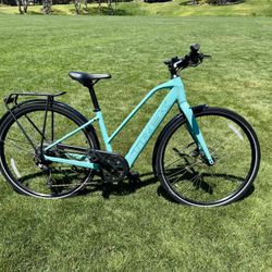 Trek City E Bike