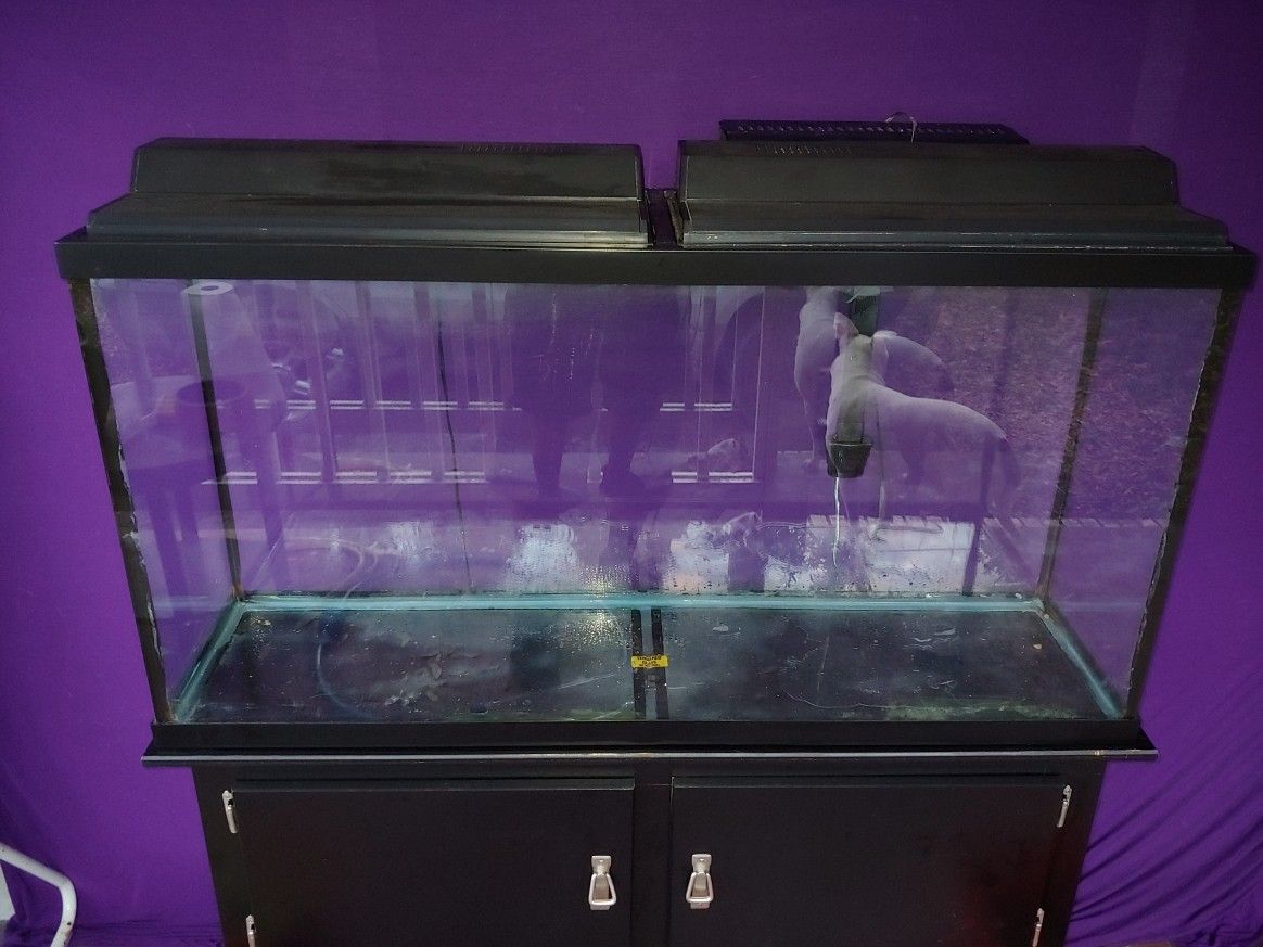 Full 55 Gallon Aquarium setup 48*12*24