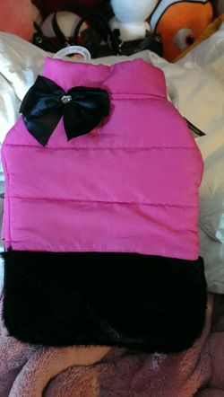 Pet jacket.