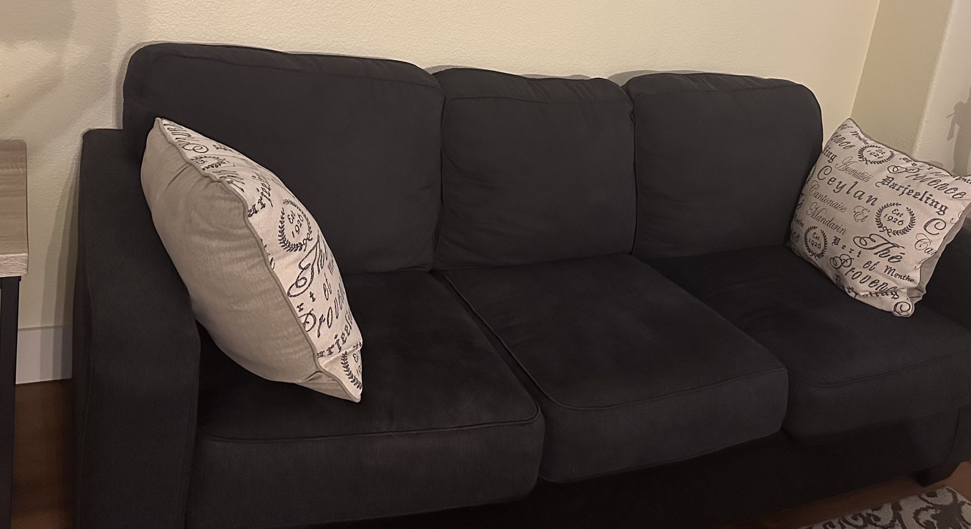 Dark Greyish Black Couch