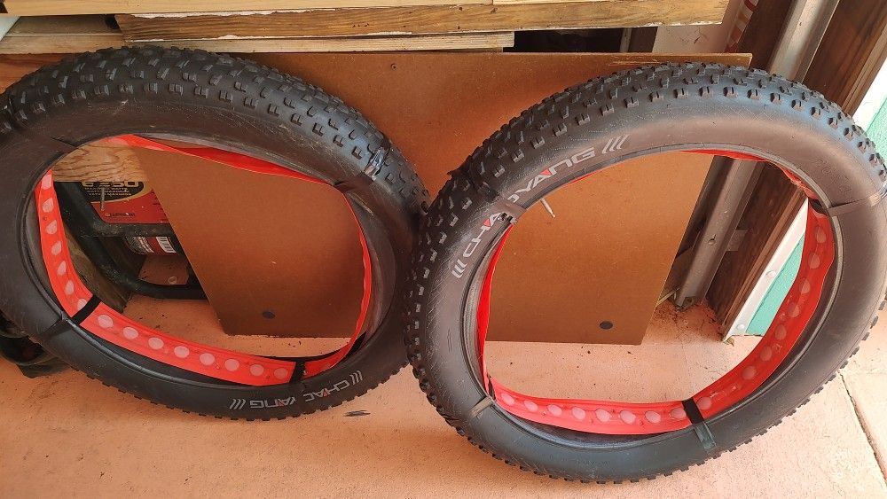 E-bike Fat Tires