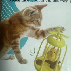 Cat Toy