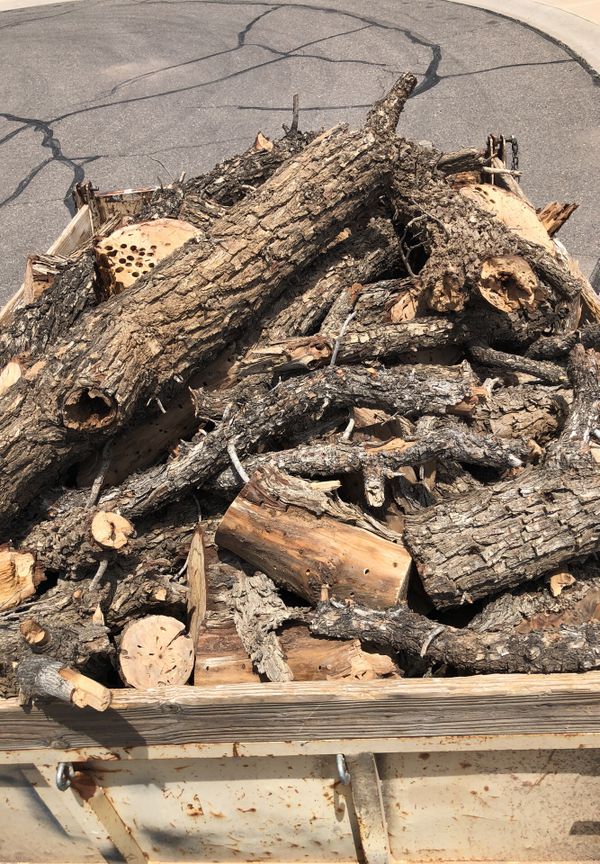 Pecan Firewood/smoker for Sale in Glendale, AZ OfferUp