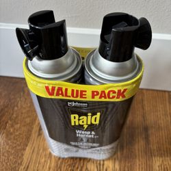 Raid Wasp & Hornet Killer 2-Pack