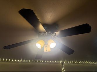 Ceiling Fan