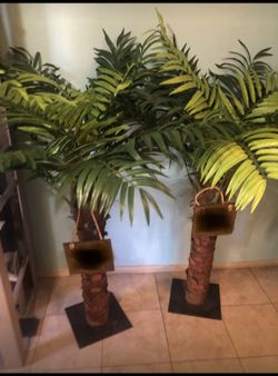 Palmeras ( Decoracion)