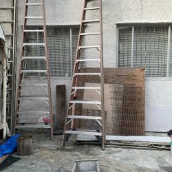 12 Feet Ladder 