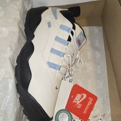 Supreme Nike SB Darwin Low Size 12 Worn Twice