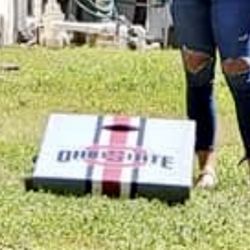 Ohio State Corn Hole Boards