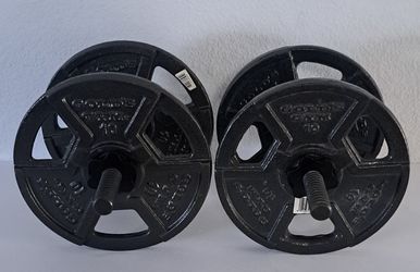 Gold's Gym Dumbbells Set