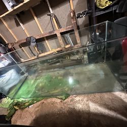 210 gallon aqarium