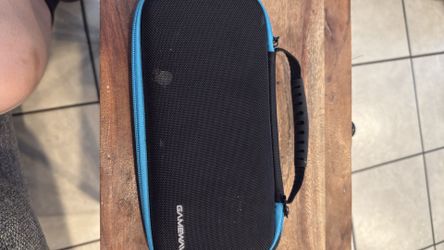 Nintendo case