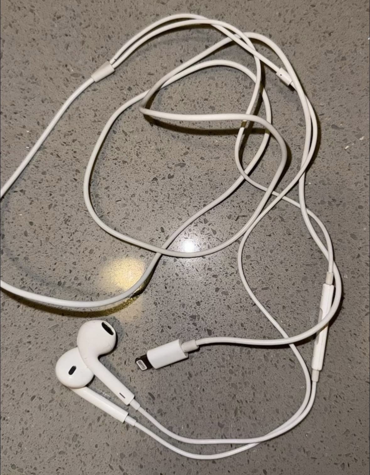 apple wired headphones with lightning cable