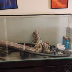 90 Gallon High Quality Fish Tank - Complete Setup
