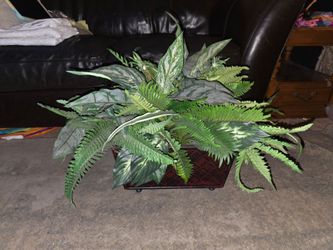Large Artificial plant