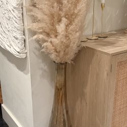 Pampas Grass And Tall Glass Vase 