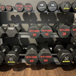5-50 lb Dumbbells with The Rack