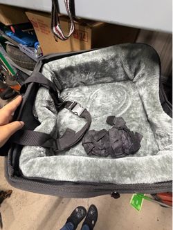 Dog car seat