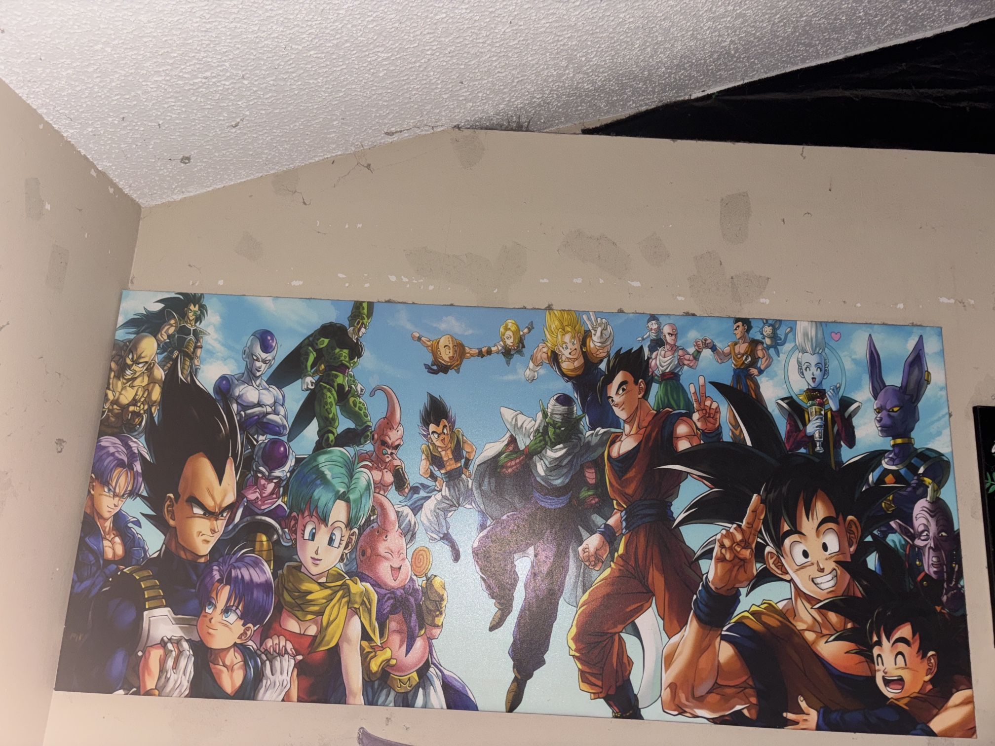 Dragon Ball Z Poster