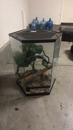 Reptile enclosure