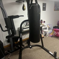 Everlast Home Gym 