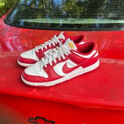 Nike Dunks 