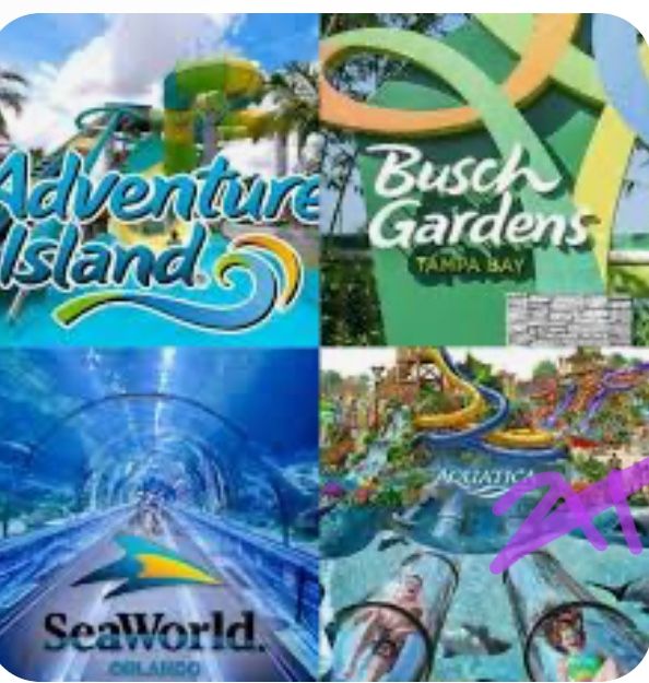$50 EACH THEME PARK TICKETS I WILL MEET U AT GATE