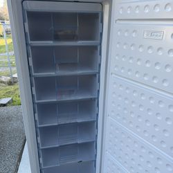 Stand Up Freezer
